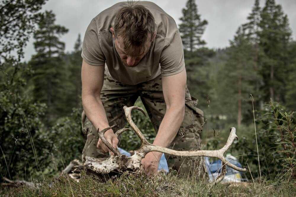 wędkarstwo skandynawia